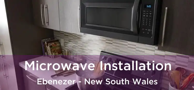 Microwave Installation Ebenezer - New South Wales