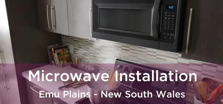 Microwave Installation Emu Plains - New South Wales
