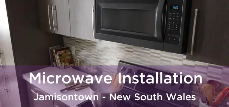 Microwave Installation Jamisontown - New South Wales