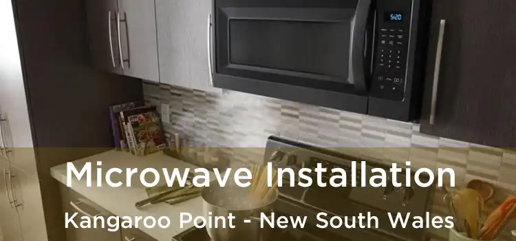 Microwave Installation Kangaroo Point - New South Wales