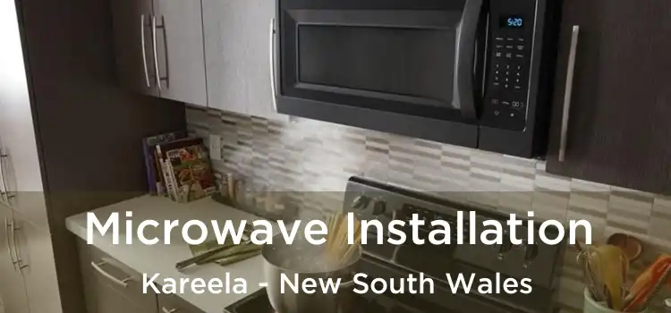 Microwave Installation Kareela - New South Wales