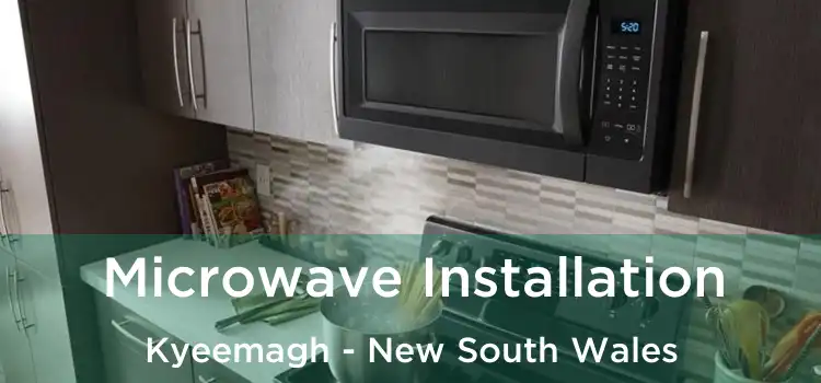 Microwave Installation Kyeemagh - New South Wales
