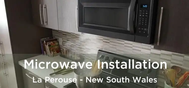 Microwave Installation La Perouse - New South Wales