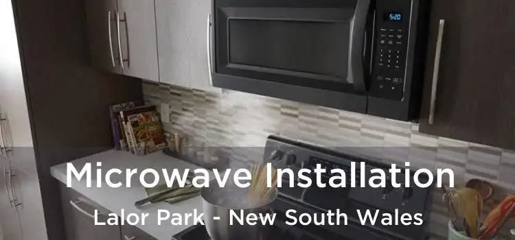 Microwave Installation Lalor Park - New South Wales
