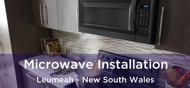 Microwave Installation Leumeah - New South Wales