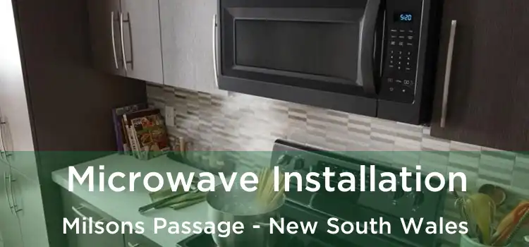 Microwave Installation Milsons Passage - New South Wales