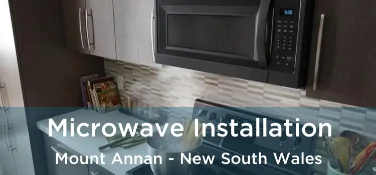 Microwave Installation Mount Annan - New South Wales