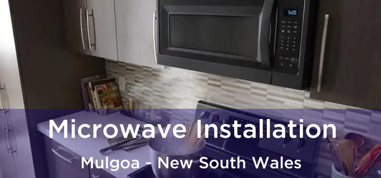 Microwave Installation Mulgoa - New South Wales