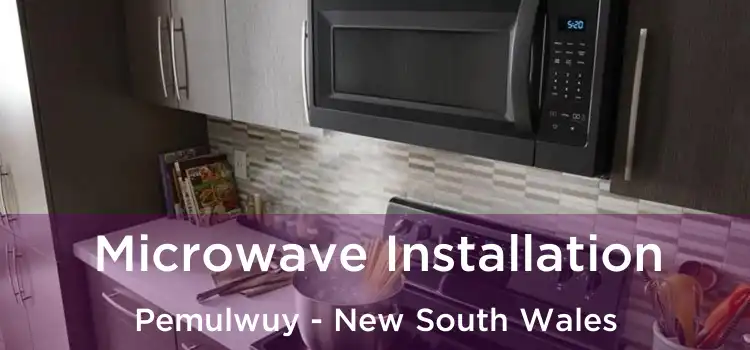 Microwave Installation Pemulwuy - New South Wales