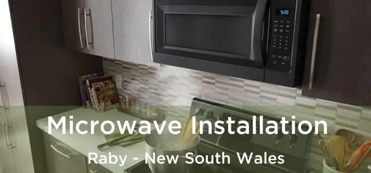 Microwave Installation Raby - New South Wales