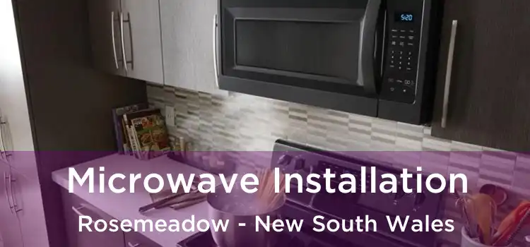 Microwave Installation Rosemeadow - New South Wales