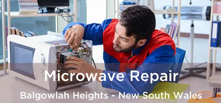 Microwave Repair Balgowlah Heights - New South Wales