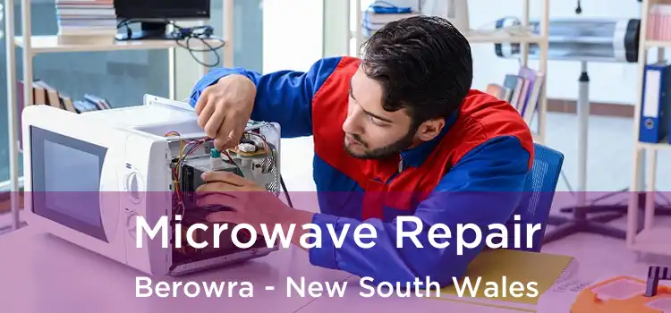 Microwave Repair Berowra - New South Wales