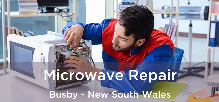 Microwave Repair Busby - New South Wales