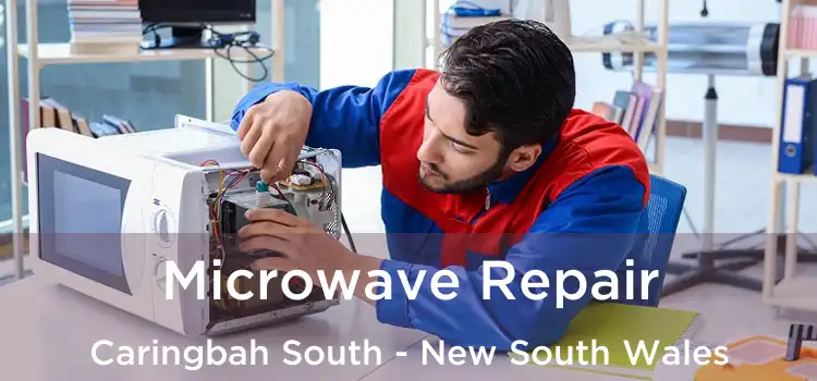Microwave Repair Caringbah South - New South Wales