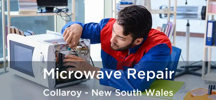 Microwave Repair Collaroy - New South Wales