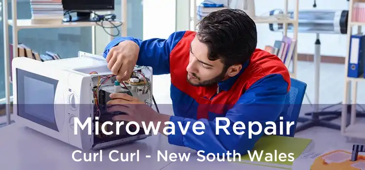 Microwave Repair Curl Curl - New South Wales