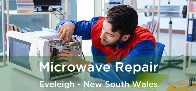 Microwave Repair Eveleigh - New South Wales