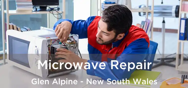 Microwave Repair Glen Alpine - New South Wales