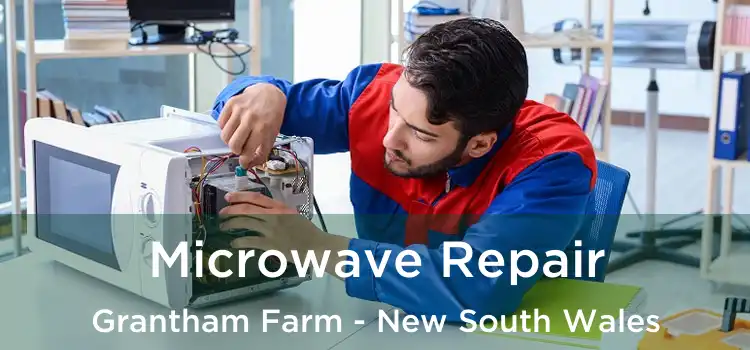 Microwave Repair Grantham Farm - New South Wales