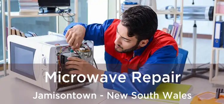 Microwave Repair Jamisontown - New South Wales
