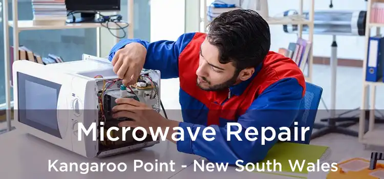 Microwave Repair Kangaroo Point - New South Wales