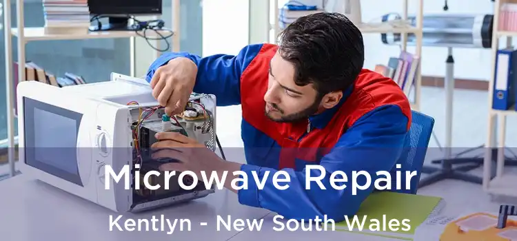 Microwave Repair Kentlyn - New South Wales