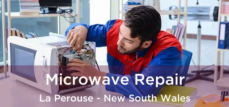 Microwave Repair La Perouse - New South Wales