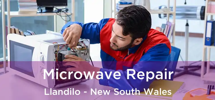 Microwave Repair Llandilo - New South Wales