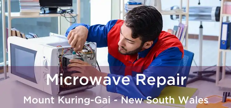 Microwave Repair Mount Kuring-Gai - New South Wales