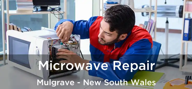 Microwave Repair Mulgrave - New South Wales