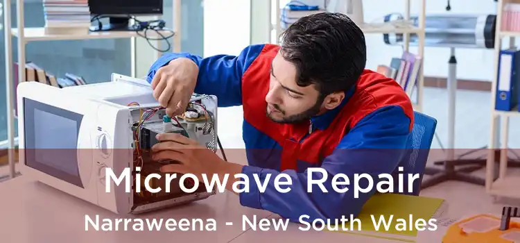 Microwave Repair Narraweena - New South Wales