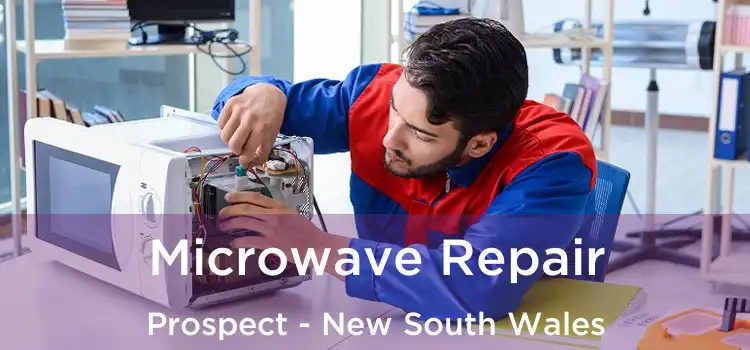Microwave Repair Prospect - New South Wales