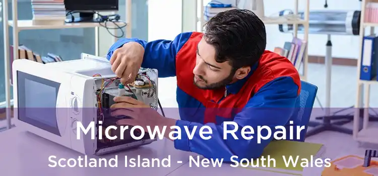 Microwave Repair Scotland Island - New South Wales