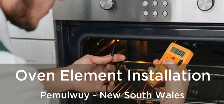 Oven Element Installation Pemulwuy - New South Wales