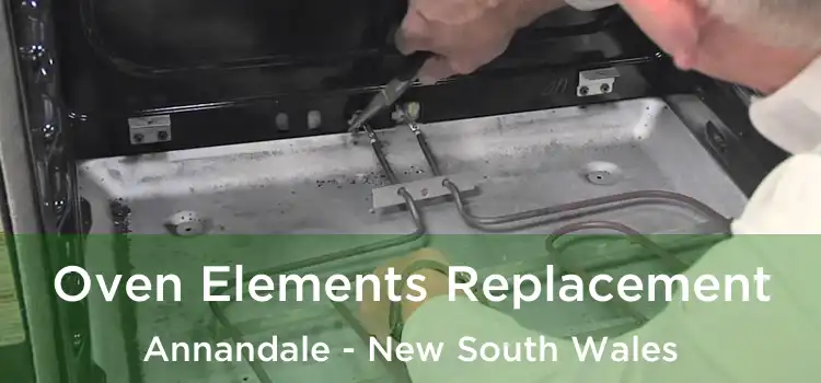 Oven Elements Replacement Annandale - New South Wales