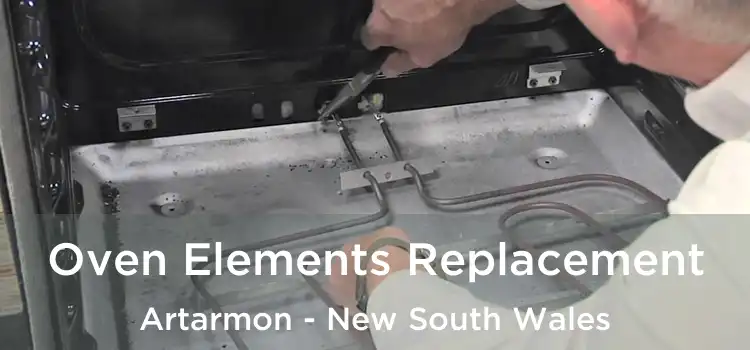 Oven Elements Replacement Artarmon - New South Wales