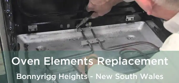 Oven Elements Replacement Bonnyrigg Heights - New South Wales