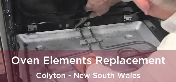 Oven Elements Replacement Colyton - New South Wales