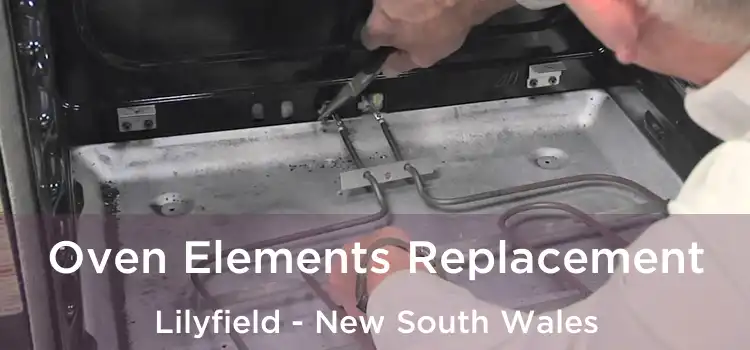 Oven Elements Replacement Lilyfield - New South Wales
