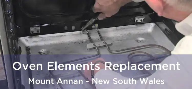 Oven Elements Replacement Mount Annan - New South Wales