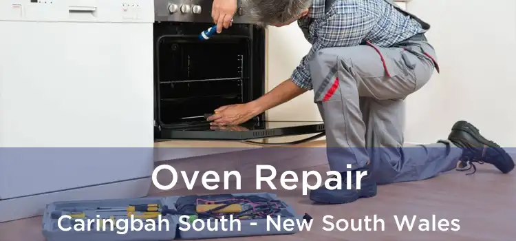 Oven Repair Caringbah South - New South Wales