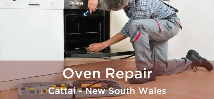 Oven Repair Cattai - New South Wales