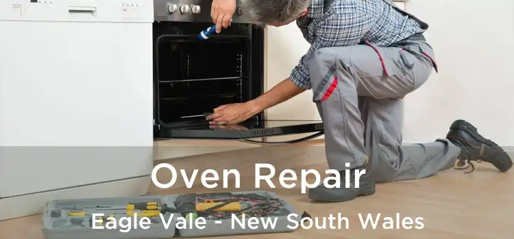 Oven Repair Eagle Vale - New South Wales