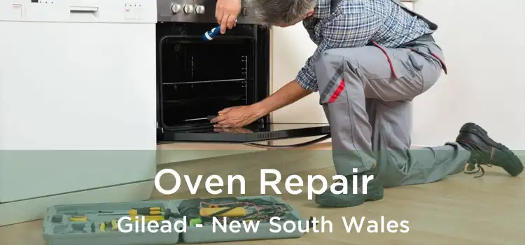 Oven Repair Gilead - New South Wales