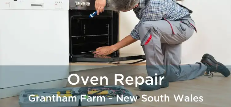Oven Repair Grantham Farm - New South Wales
