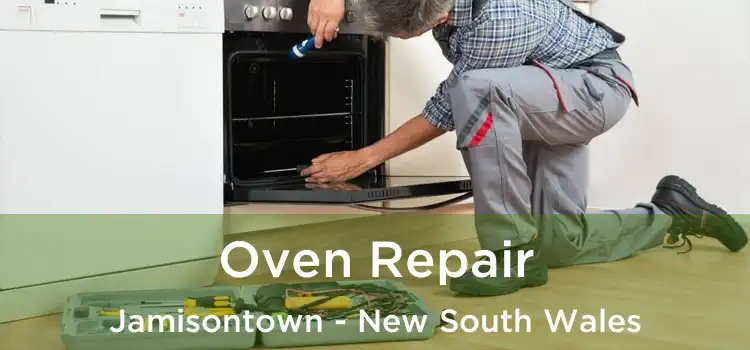 Oven Repair Jamisontown - New South Wales