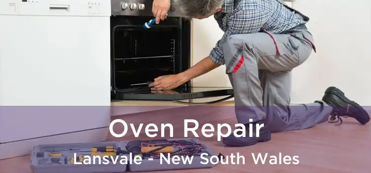 Oven Repair Lansvale - New South Wales