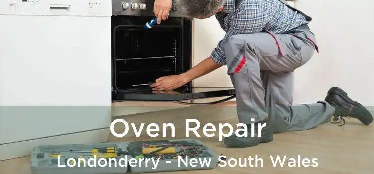 Oven Repair Londonderry - New South Wales