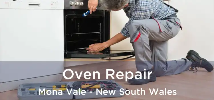 Oven Repair Mona Vale - New South Wales